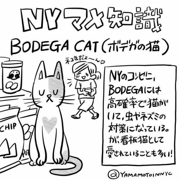 店の前で『変な声』を上げる人々　気になって近付くと？　「コレは不可抗力」
