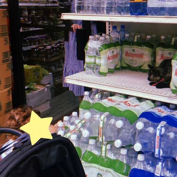 店の前で『変な声』を上げる人々　気になって近付くと？　「コレは不可抗力」