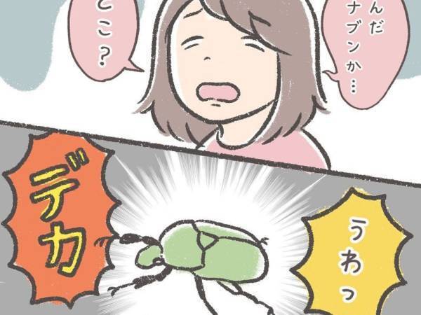 家の中に大きな虫が！　かけつけた５歳児の行動に「惚れた」「頼もしすぎる」