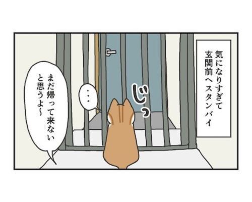 予知能力を身に付けたか！？　猫が玄関に行った２分後にある出来事が起きた