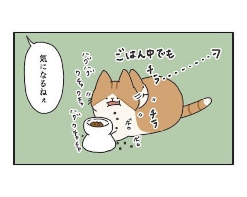予知能力を身に付けたか！？　猫が玄関に行った２分後にある出来事が起きた