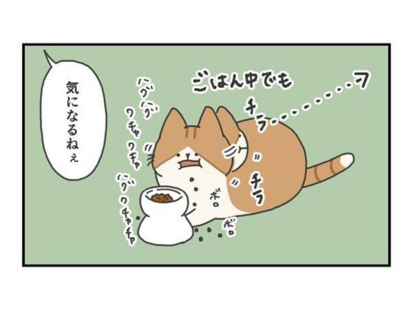 予知能力を身に付けたか！？　猫が玄関に行った２分後にある出来事が起きた