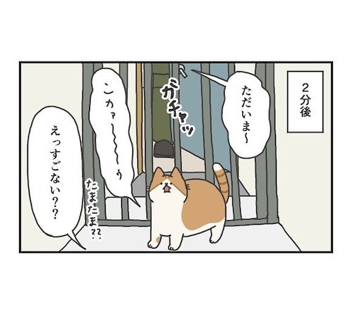 予知能力を身に付けたか！？　猫が玄関に行った２分後にある出来事が起きた