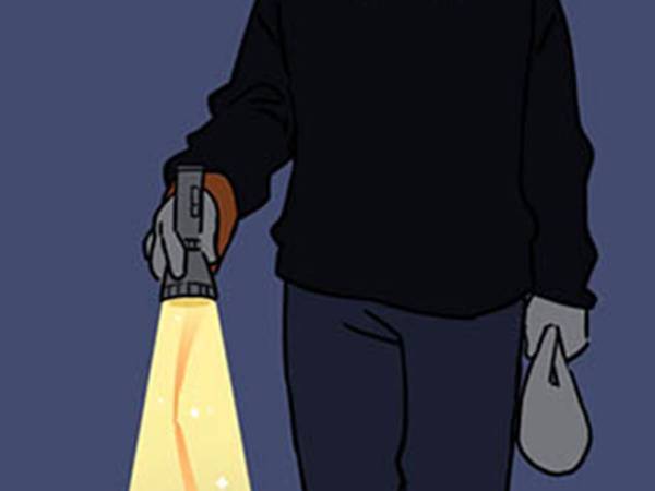 夜道で遭遇した『スターポメラニアン』　その姿に、１６万人が心を奪われた！