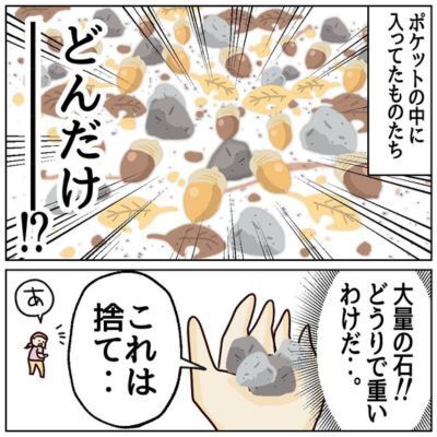 ウチだけじゃないよね？　知らぬ間にたまるどんぐりと石ころに「ほんとそれ」「分かる」