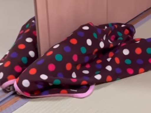 息子が送ってきた『ひたすら毛布が走りまわる動画』に、母「思わず笑った」