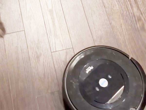 「助けを求めています」　最近エラー表示を繰り返す『ロボット掃除機』　やっと原因を特定！