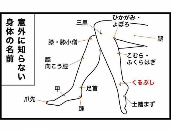 小学生に「くるぶしの場所」と聞いてみると？　「笑った」「うちの子も同じ」