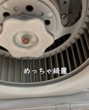 アレが今にも滴りそう…　１年ぶりにキッチンの換気扇掃除をしてみた結果に戦慄