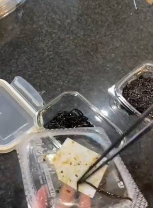 「スッキリ冷蔵庫」をキープするためのコツは帰宅後にアリ！　「見てて気持ちいい」「スマートな暮らし」