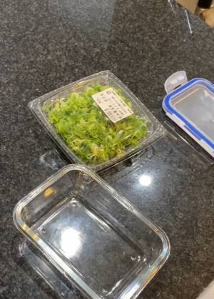 「スッキリ冷蔵庫」をキープするためのコツは帰宅後にアリ！　「見てて気持ちいい」「スマートな暮らし」