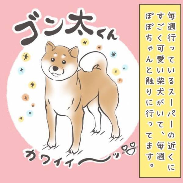 近所の柴犬にマスクなしの顔を披露　リアクションに「かわいすぎ」「賢い子だ！」