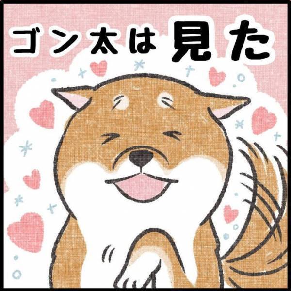 近所の柴犬にマスクなしの顔を披露　リアクションに「かわいすぎ」「賢い子だ！」