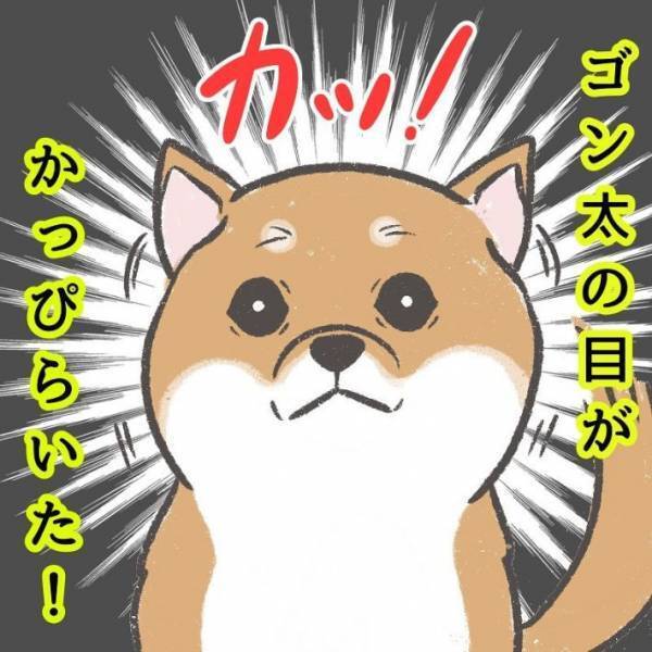 近所の柴犬にマスクなしの顔を披露　リアクションに「かわいすぎ」「賢い子だ！」