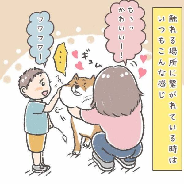 近所の柴犬にマスクなしの顔を披露　リアクションに「かわいすぎ」「賢い子だ！」