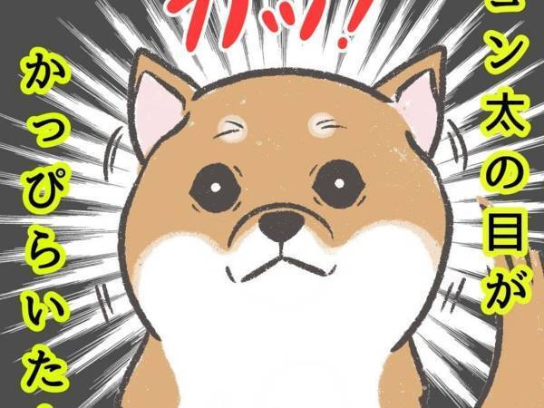 近所の柴犬にマスクなしの顔を披露　リアクションに「かわいすぎ」「賢い子だ！」