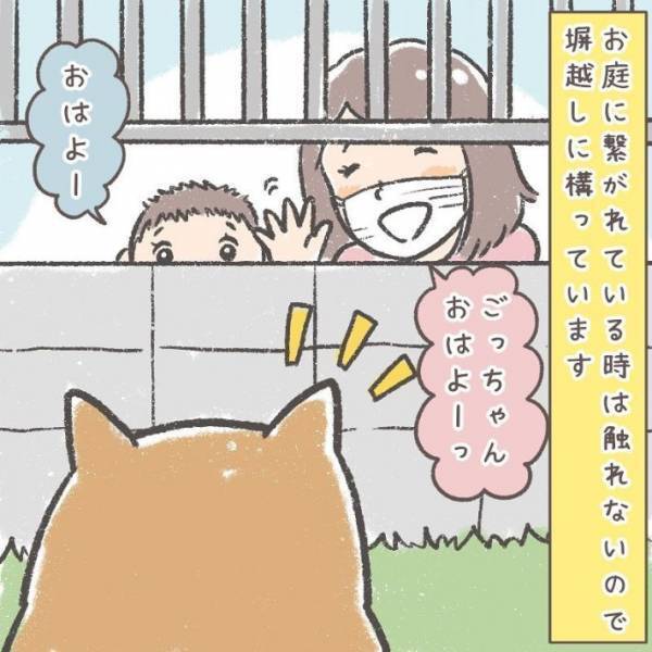近所の柴犬にマスクなしの顔を披露　リアクションに「かわいすぎ」「賢い子だ！」