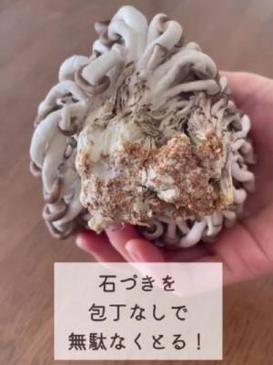 しめじの石づき、包丁で切ってない？　意外と知らない正しい取り方に「知らなかった」「簡単」