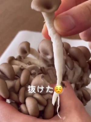 しめじの石づき、包丁で切ってない？　意外と知らない正しい取り方に「知らなかった」「簡単」