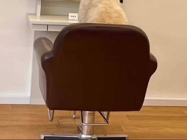 看板犬なのに客を出迎えずに…　「かわいすぎる」と話題の行動とは？