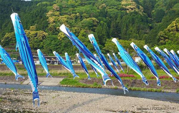 普通の『こいのぼり』かと思いきや？　高知県で見られる光景に「そうきたか」