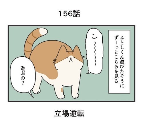 「わかる」「うちもこう」　遊びたい猫と遊んであげる飼い主の立場が…