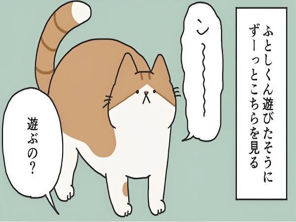 「わかる」「うちもこう」　遊びたい猫と遊んであげる飼い主の立場が…