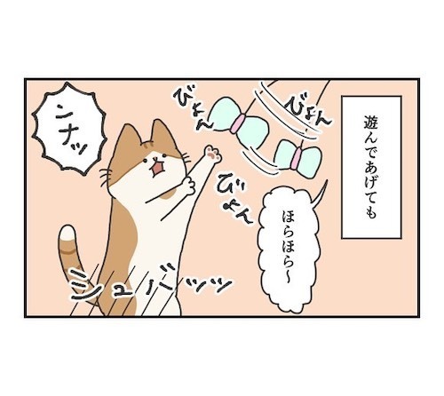「わかる」「うちもこう」　遊びたい猫と遊んであげる飼い主の立場が…