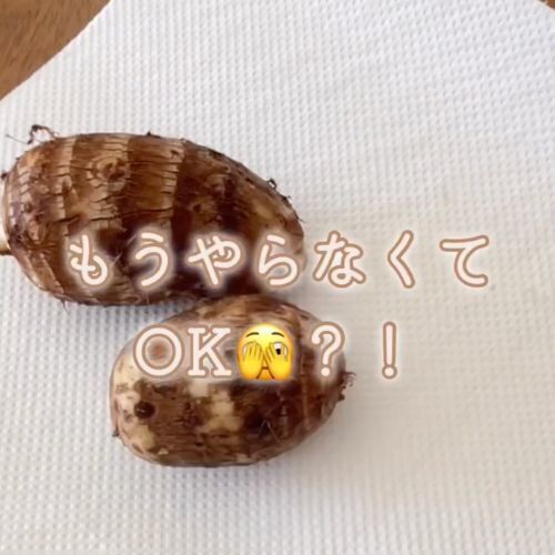 サトイモの意外な食べ方に「目からウロコ」　皮を剥かない調理法が新しい