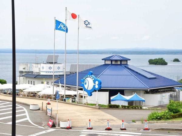 水槽掃除中に地震が発生　水族館のダイバーが来場客に感謝した理由に「本当に素晴らしい」