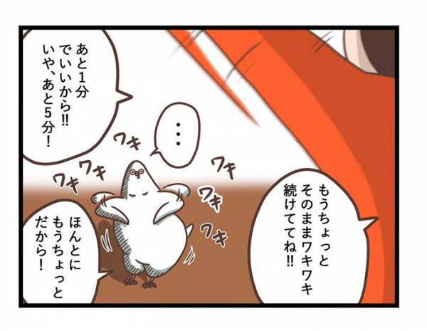 飼い主がインコの『一芸』を発見　何度かリクエストすると？　「あるある」「オチに吹いた」