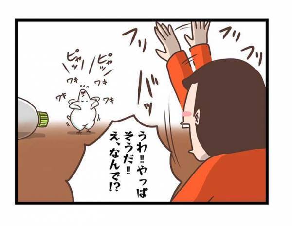 飼い主がインコの『一芸』を発見　何度かリクエストすると？　「あるある」「オチに吹いた」