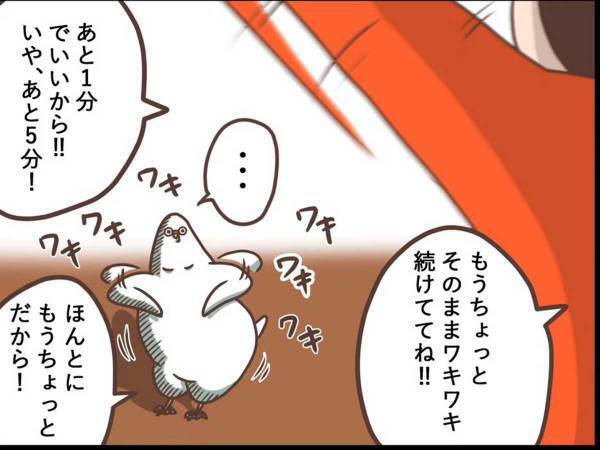 飼い主がインコの『一芸』を発見　何度かリクエストすると？　「あるある」「オチに吹いた」