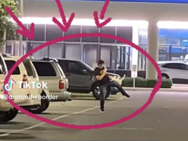 しがみついて離れない猫を保護した男性　『犬好き』家族の反応は？「おめでとう」