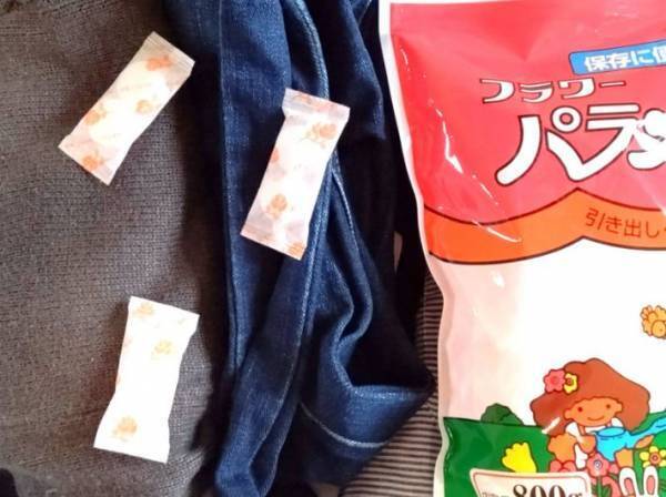 ドライやーで吹き飛ばす！？　防虫剤の「あのニオイ」を簡単に消す裏技が超便利