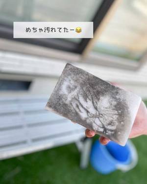 「これすごい！」　洗剤不使用、外さなくてＯＫ！　気軽にできる『網戸掃除』