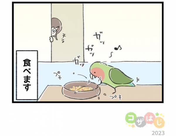 飼い主が見ていない隙に…　インコの行動に「反抗期？」「思春期？」の声