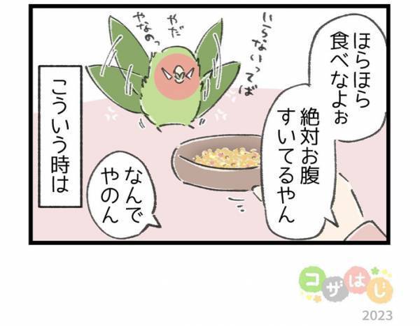 飼い主が見ていない隙に…　インコの行動に「反抗期？」「思春期？」の声