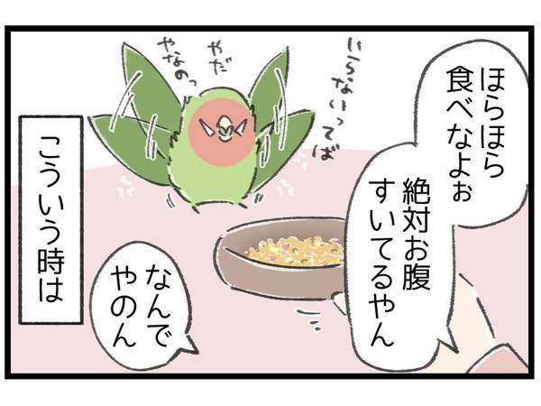 飼い主が見ていない隙に…　インコの行動に「反抗期？」「思春期？」の声