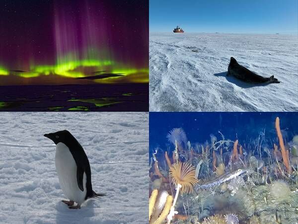 観測隊が見た『南極大陸』に心奪われる　貴重な映像だらけの番組を見逃すな！