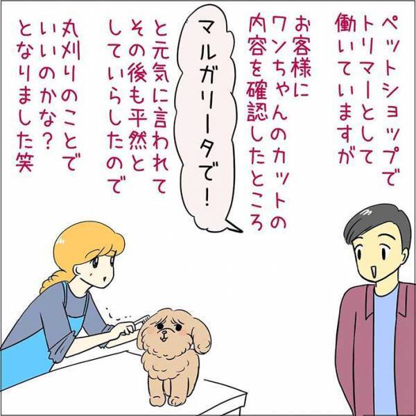 果物売り場で見かけた『はっさく』　説明を読んで戸惑ったワケとは？　「甘味はどこいった」