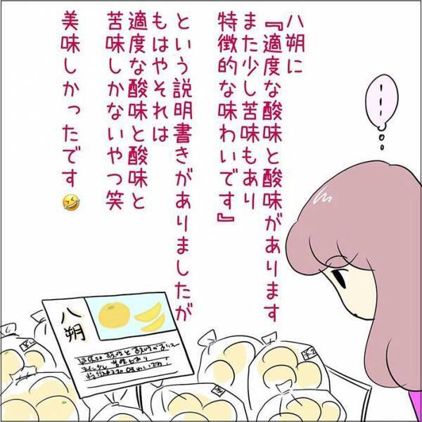 果物売り場で見かけた『はっさく』　説明を読んで戸惑ったワケとは？　「甘味はどこいった」