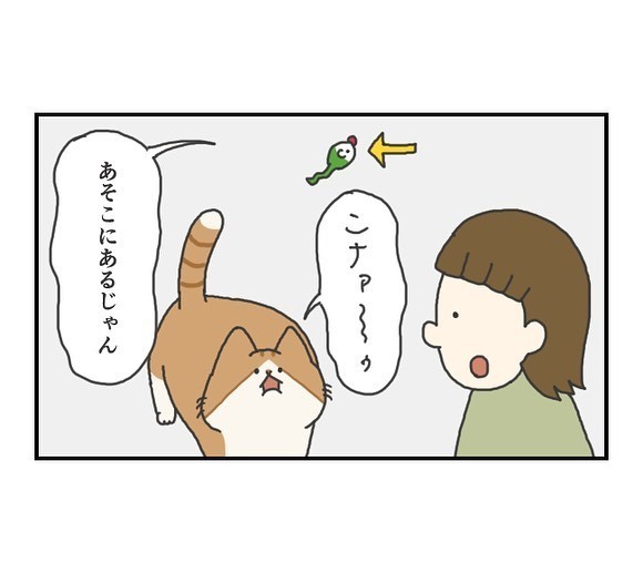 「分かります」 大好きなはずなのに…猫が遊ばなかった理由は「こだわりなのか気まぐれなのか」