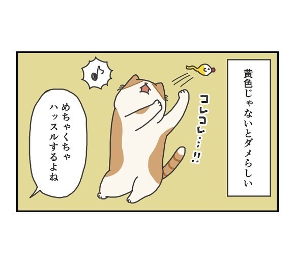 「分かります」 大好きなはずなのに…猫が遊ばなかった理由は「こだわりなのか気まぐれなのか」