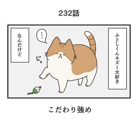 「分かります」 大好きなはずなのに…猫が遊ばなかった理由は「こだわりなのか気まぐれなのか」