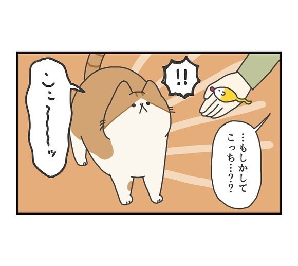 「分かります」 大好きなはずなのに…猫が遊ばなかった理由は「こだわりなのか気まぐれなのか」