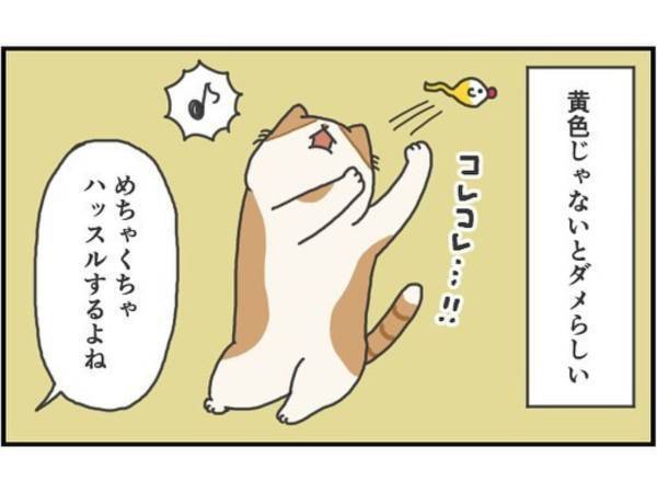 「分かります」 大好きなはずなのに…猫が遊ばなかった理由は「こだわりなのか気まぐれなのか」