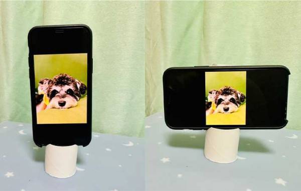 スマホスタンドにぴったりな代用品は？　３位サングラス、２位トイレットペーパーの芯、１位は…