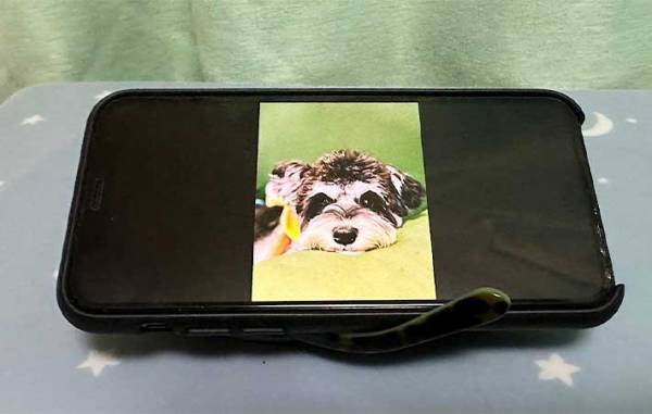 スマホスタンドにぴったりな代用品は？　３位サングラス、２位トイレットペーパーの芯、１位は…