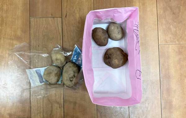 「芽が出ない！」　放置するだけの『ジャガイモの保存テク』の効果がすごい